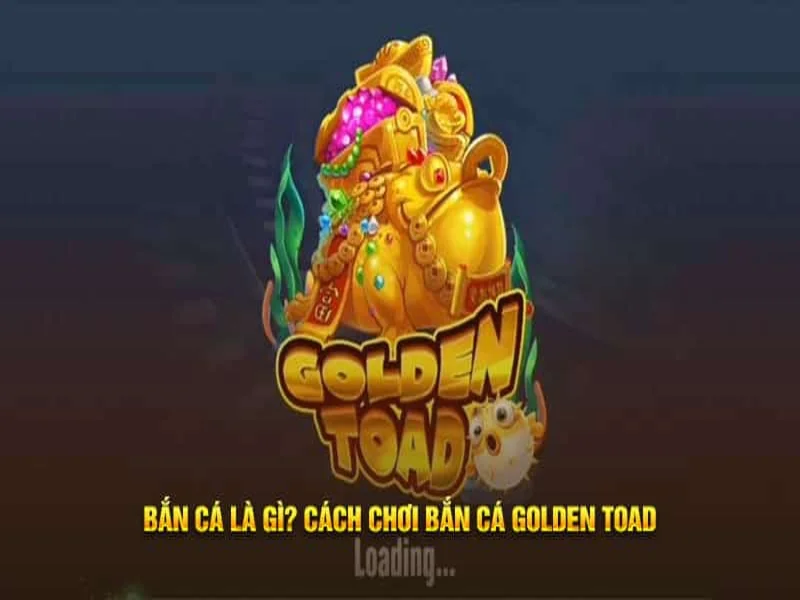 Fun88 hỗ trợ người chơi Golden Toad